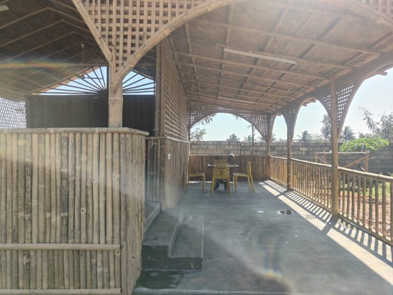 IMG-20241231-WA0042