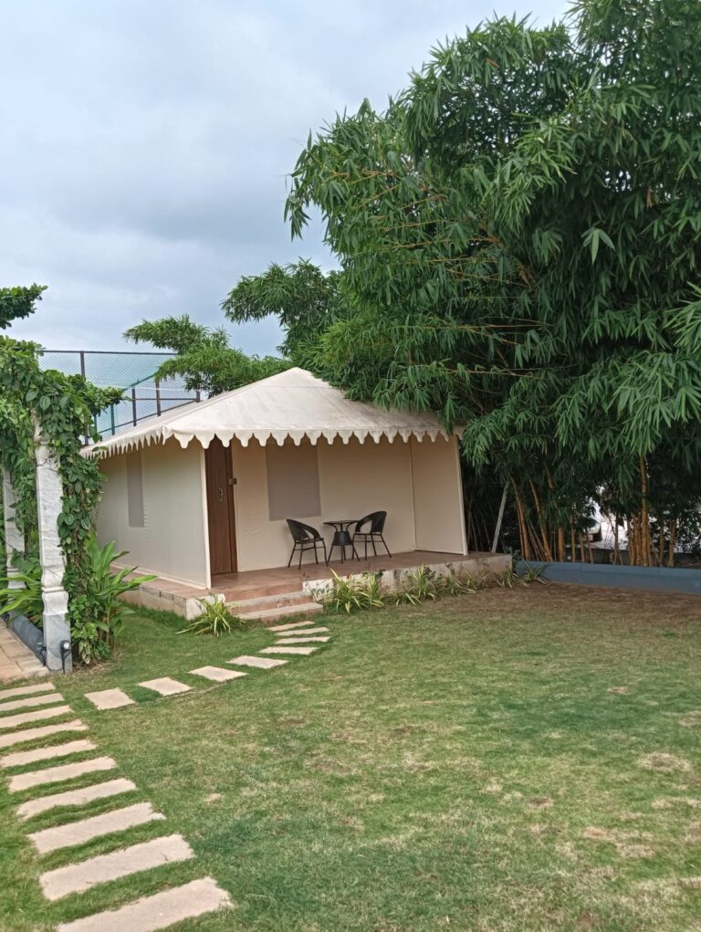 WhatsApp Image 2025-11-19 at 10.53