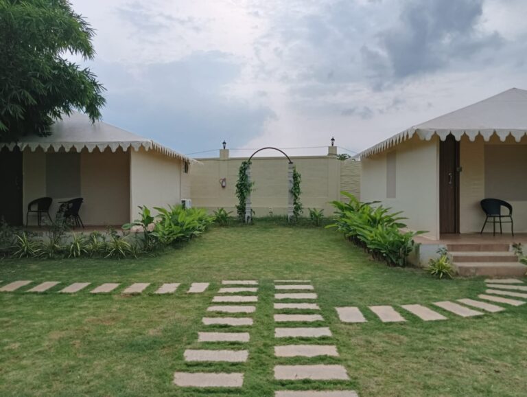 WhatsApp Image 2025-11-19 at 10.53